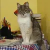 Отзыв от Зоя Кукушкина